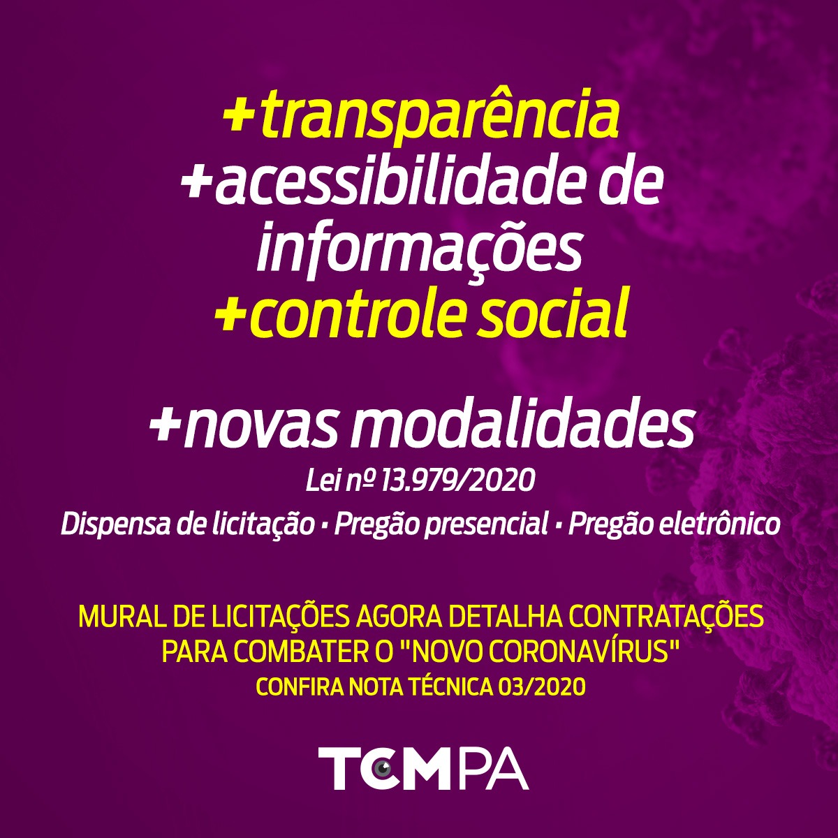 logomarca TCM-PA