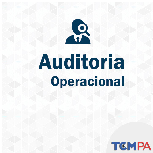 Auditoria Operacional logotipo SPE