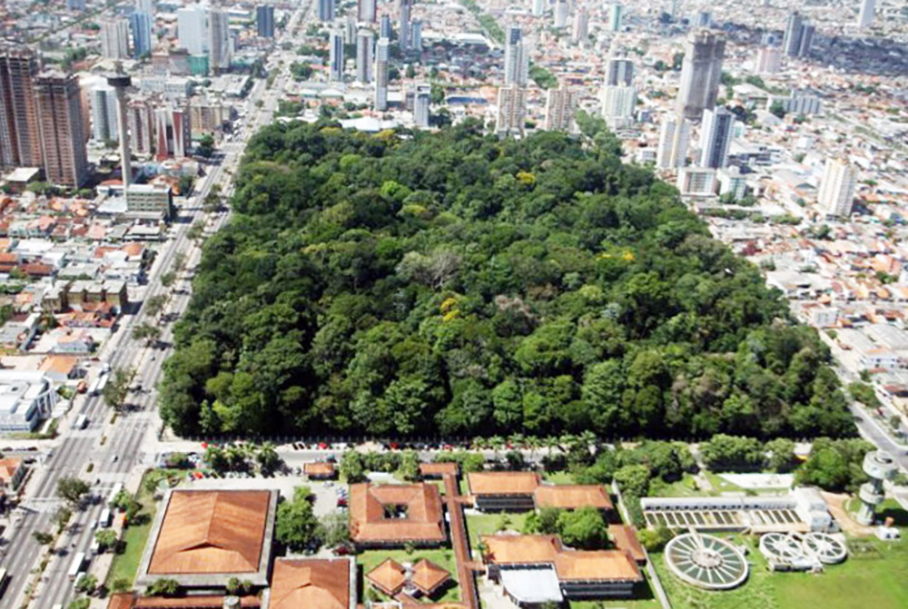 site__bosque-rodrigues-alves