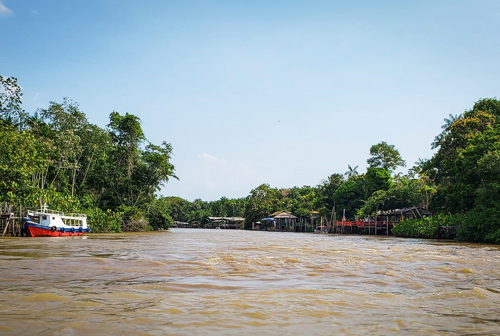 site__ilha-do-combu-5