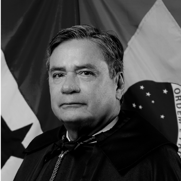 Luis Daniel Lavareda Reis Junior