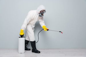 Dedetização, descupinização e desratização no prédio-sede