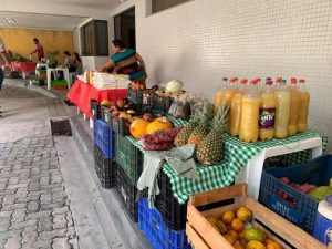 TCMPA promove Feira Agroecológica nesta quinta-feira (02)