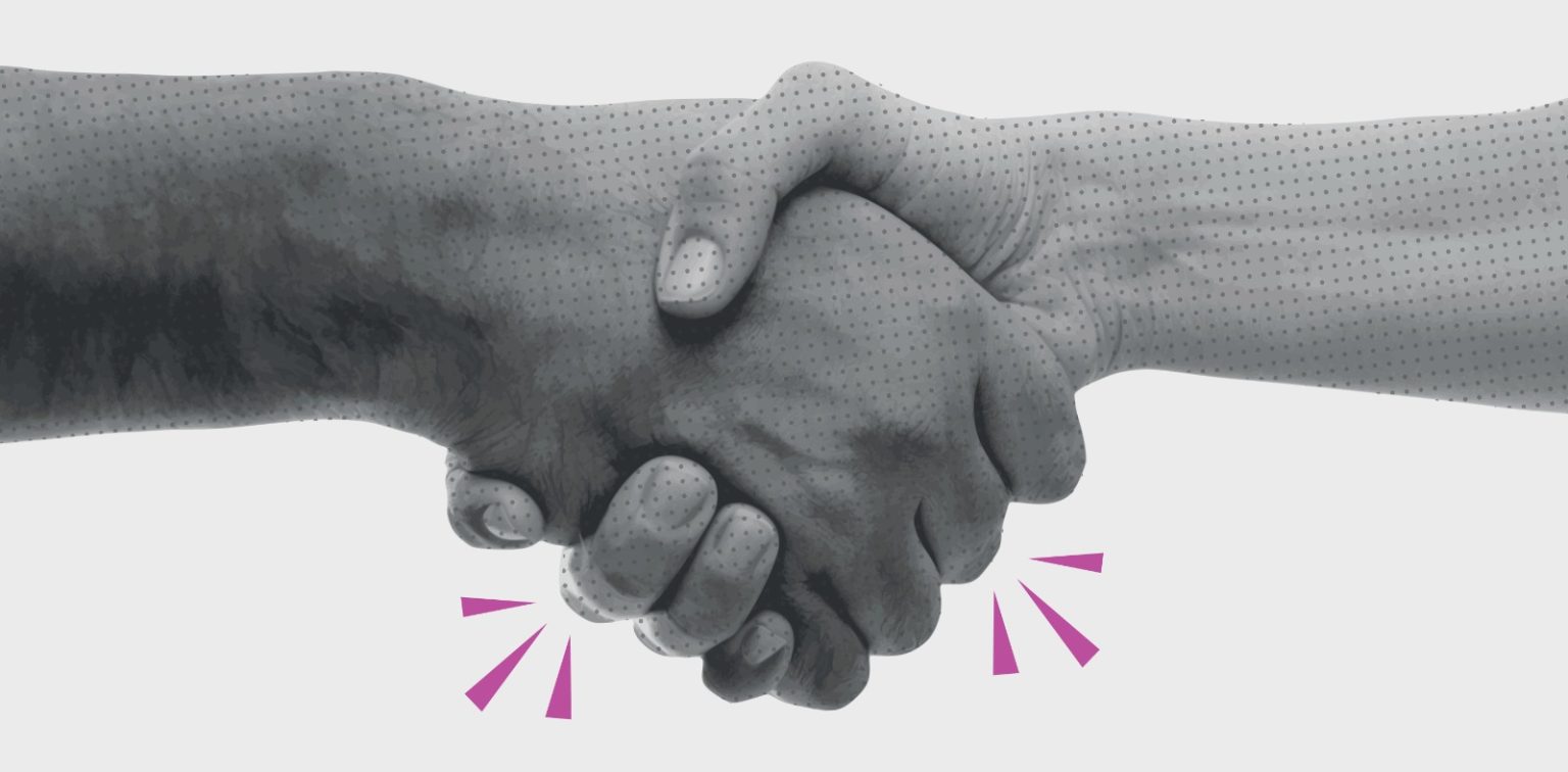 WhatsApp Image 2026-02-13 at 09.50.13